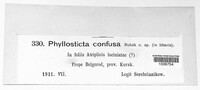 Phyllosticta confusa image